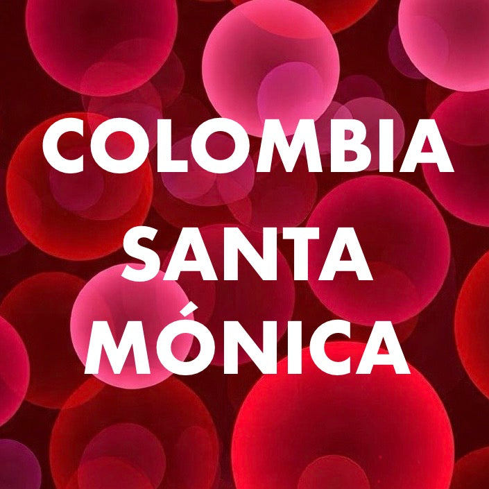 Colombia - Santa Mónica / Castillo / 8 oz