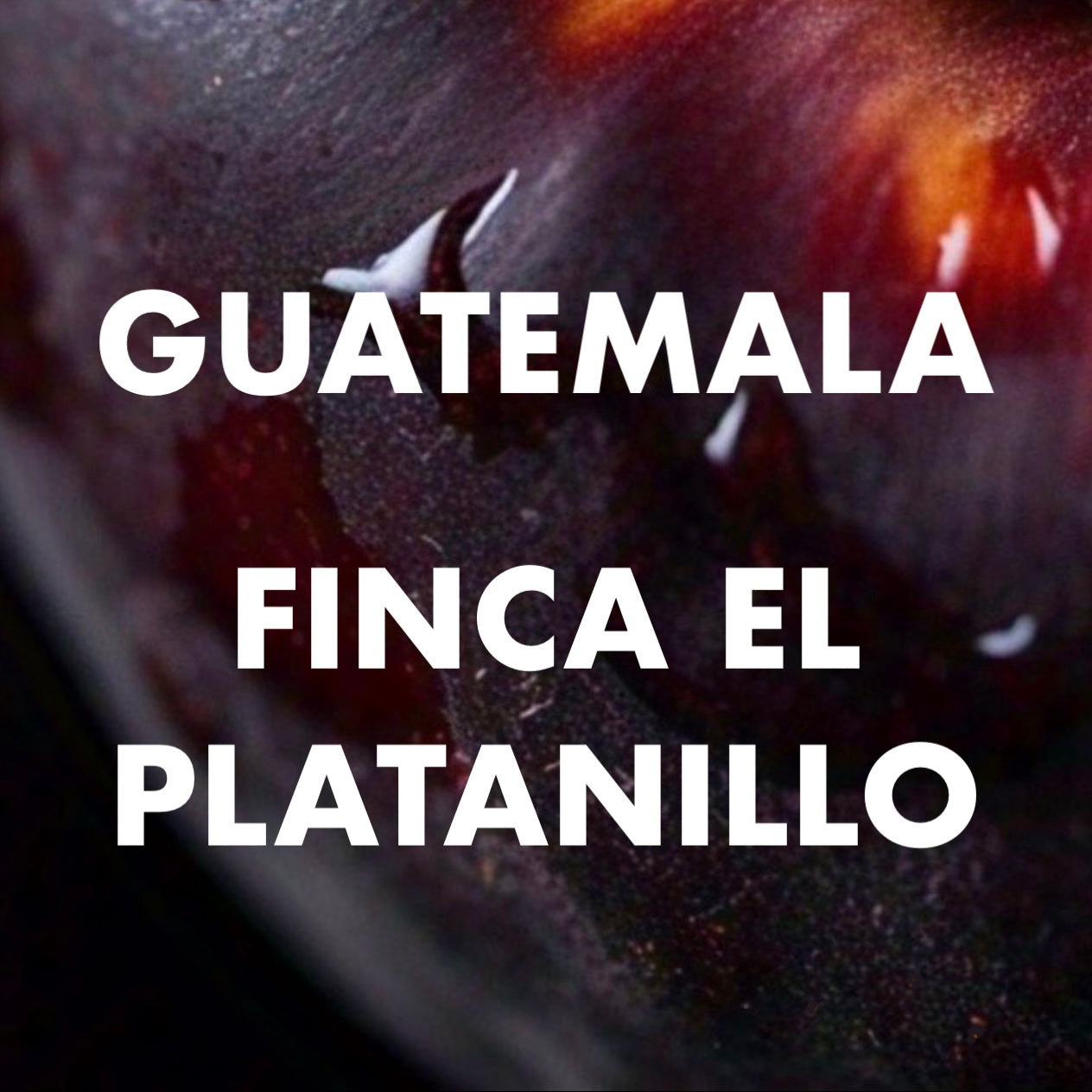 Guatemala - La Finca Platanillo / Bourbon / 8 oz