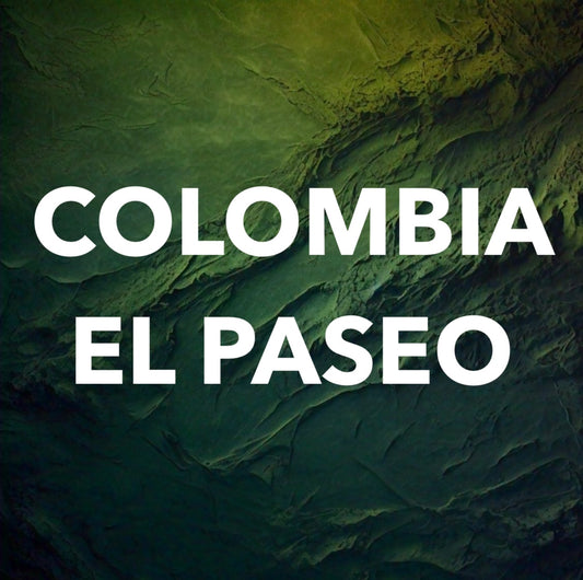 Colombia - El Paseo / Caturra / 8 oz