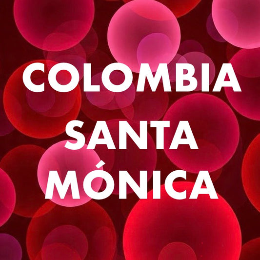 Colombia - Santa Mónica / Castillo / 8 oz